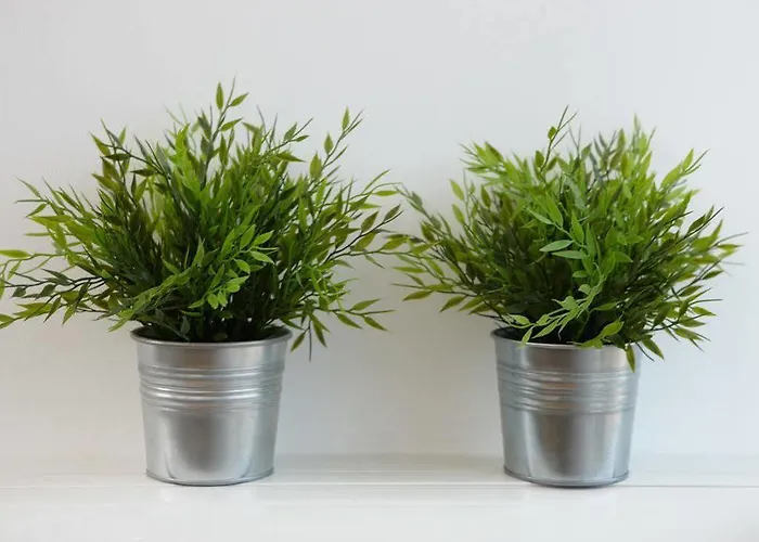 Sunny Bay - Free Parking Daire